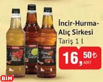 TARİŞ  İNCİR-HURMA- ALIÇ SİRKESİ